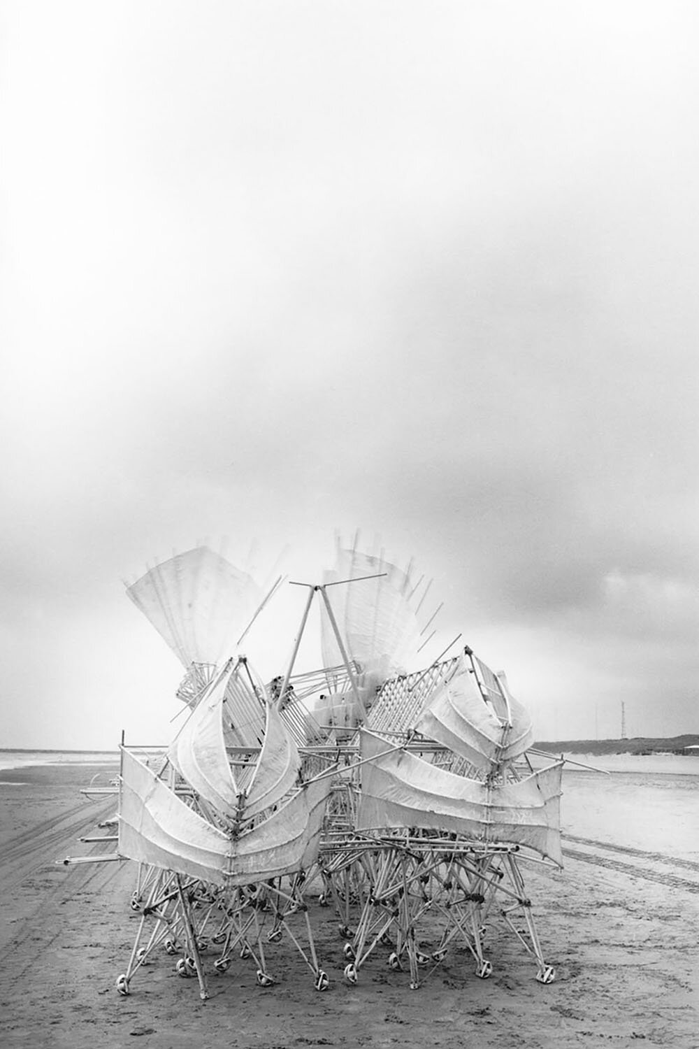 STRANDBEEST