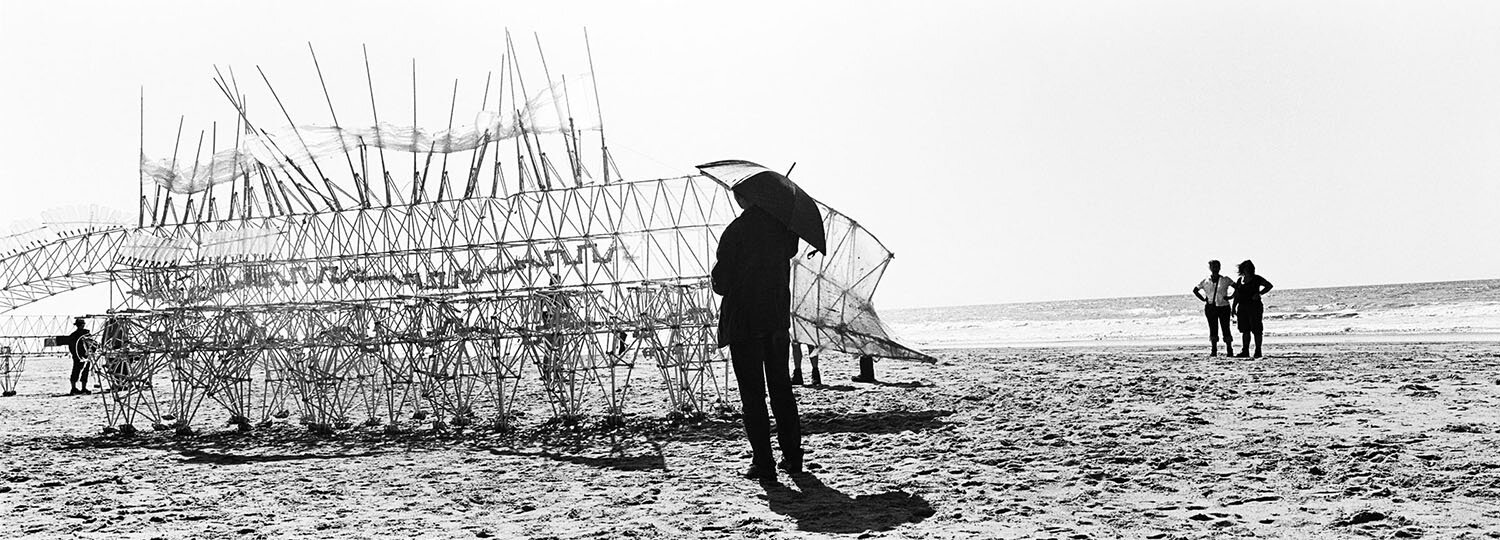 STRANDBEEST