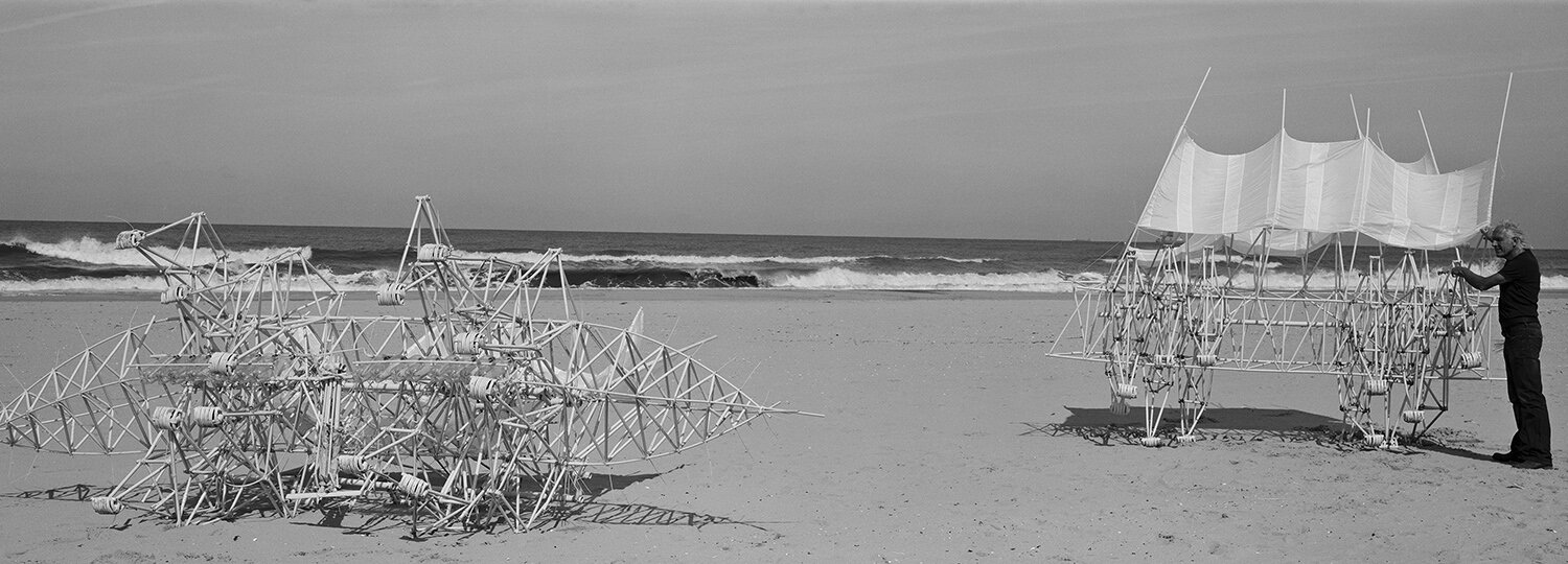 STRANDBEEST