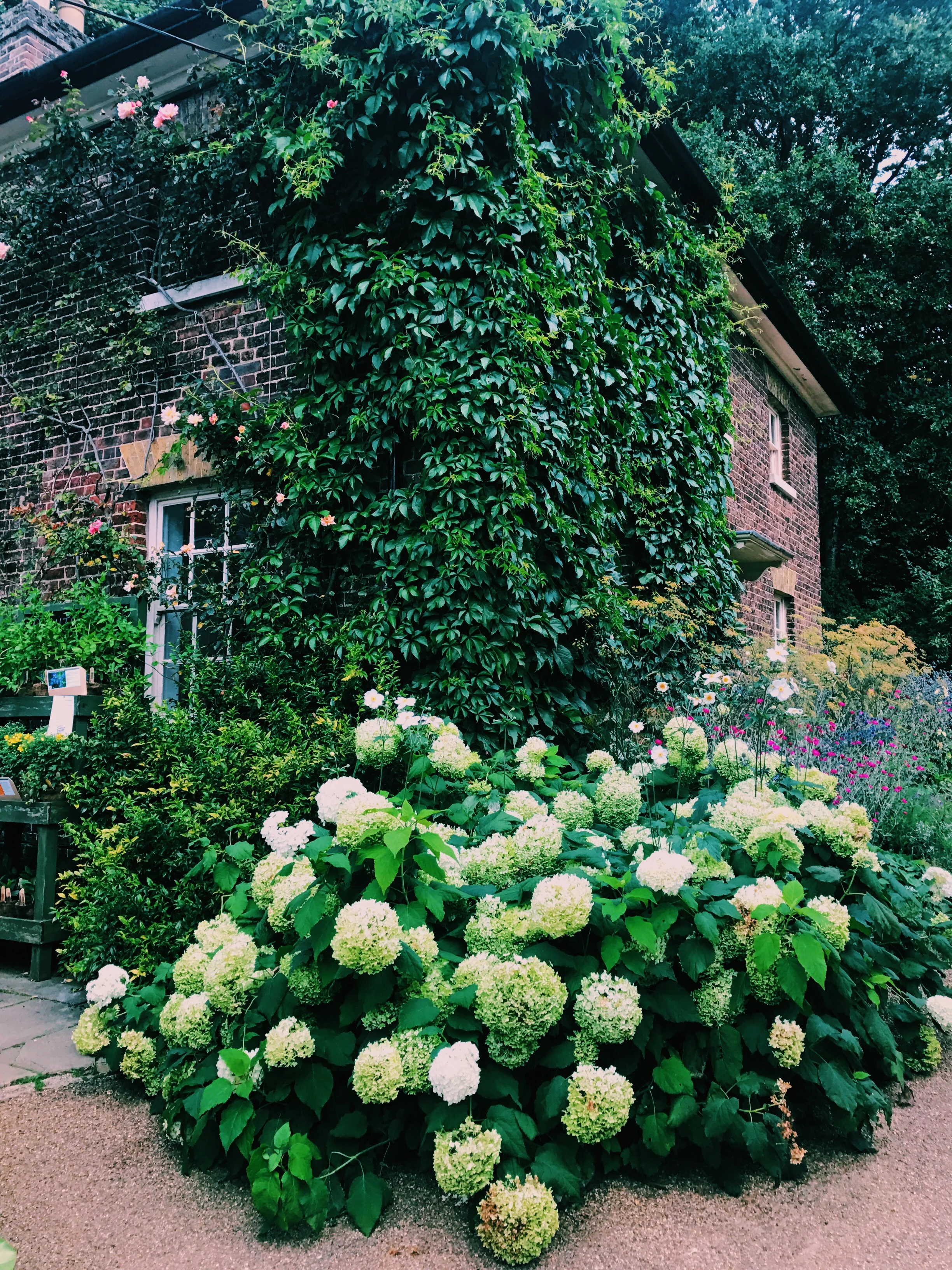 vsco-photo-2.jpg