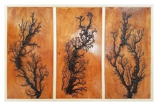 RoberEtree6.jpg