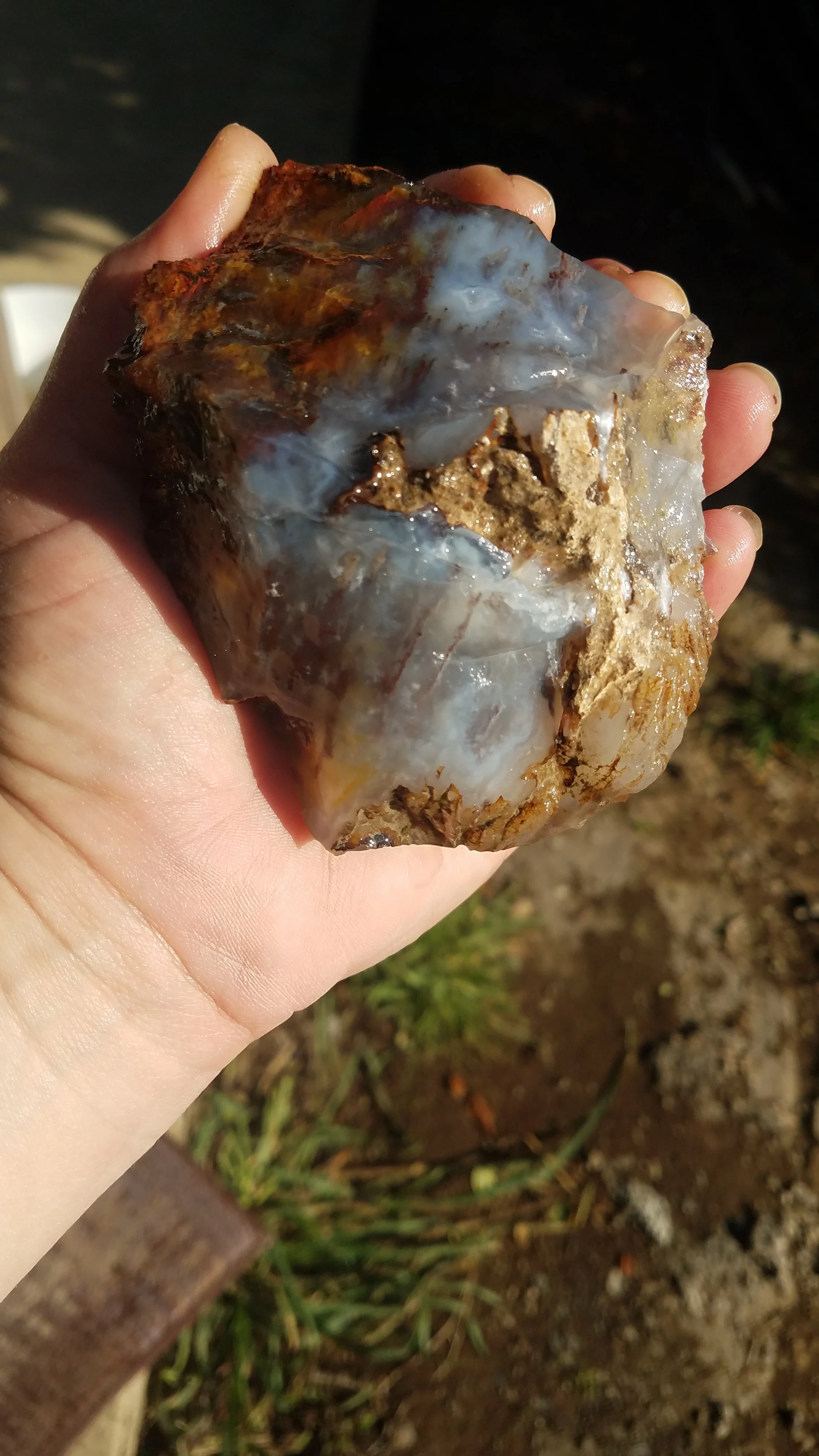 20171030_145229.jpg
