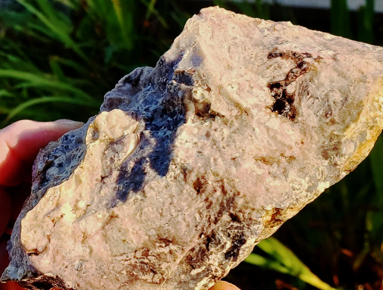 20181015_171137.jpg