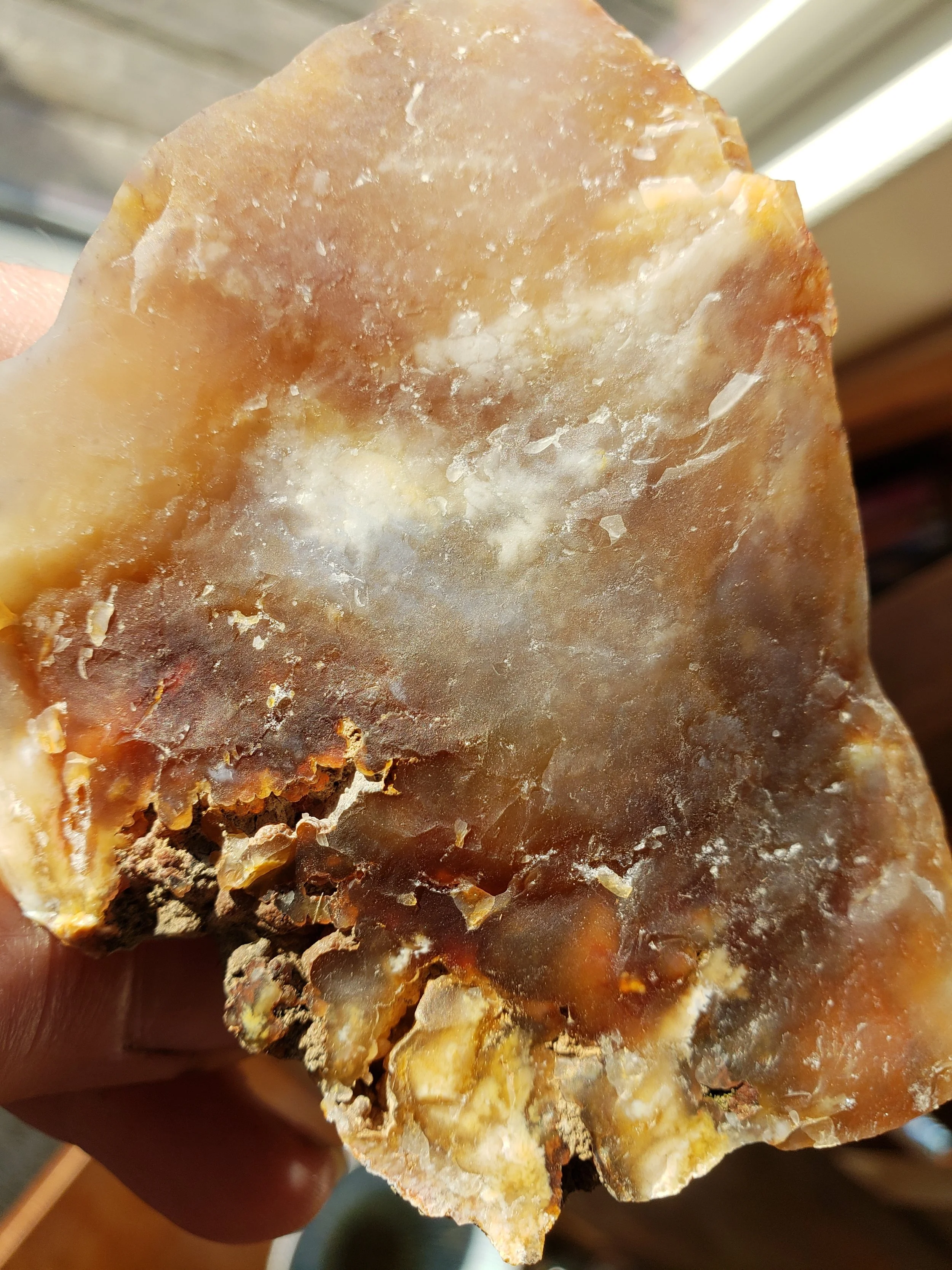 20181118_084756.jpg