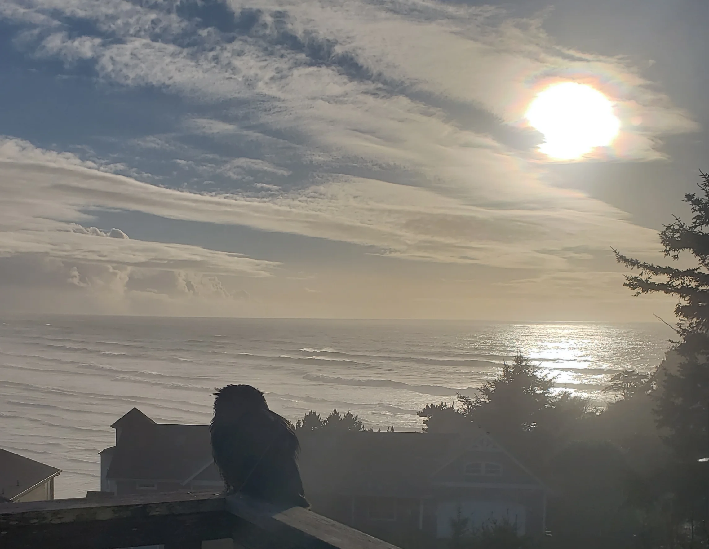 20181128_170935.jpg