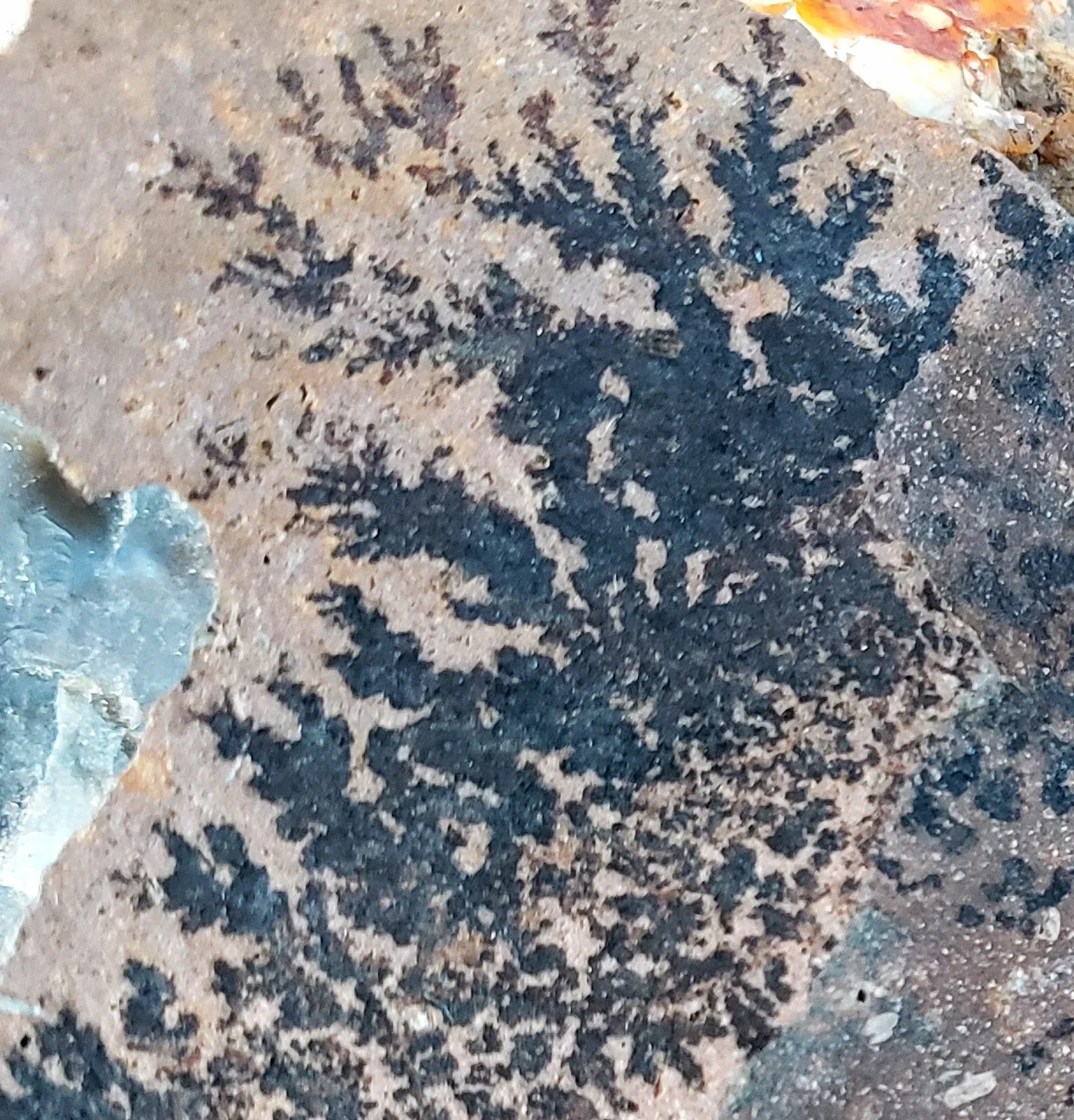 20180824_173241.jpg