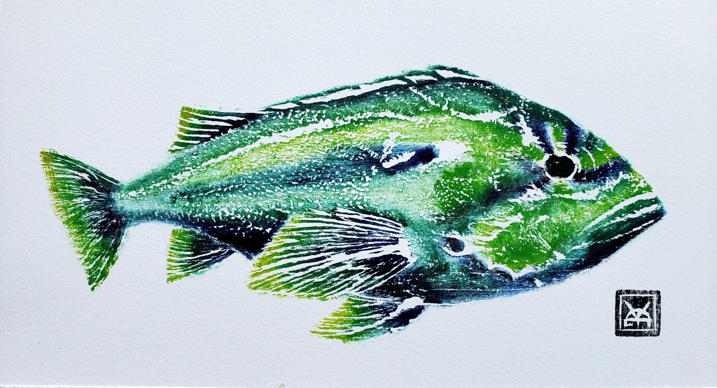 Fresh Rockfish (Green GP3)