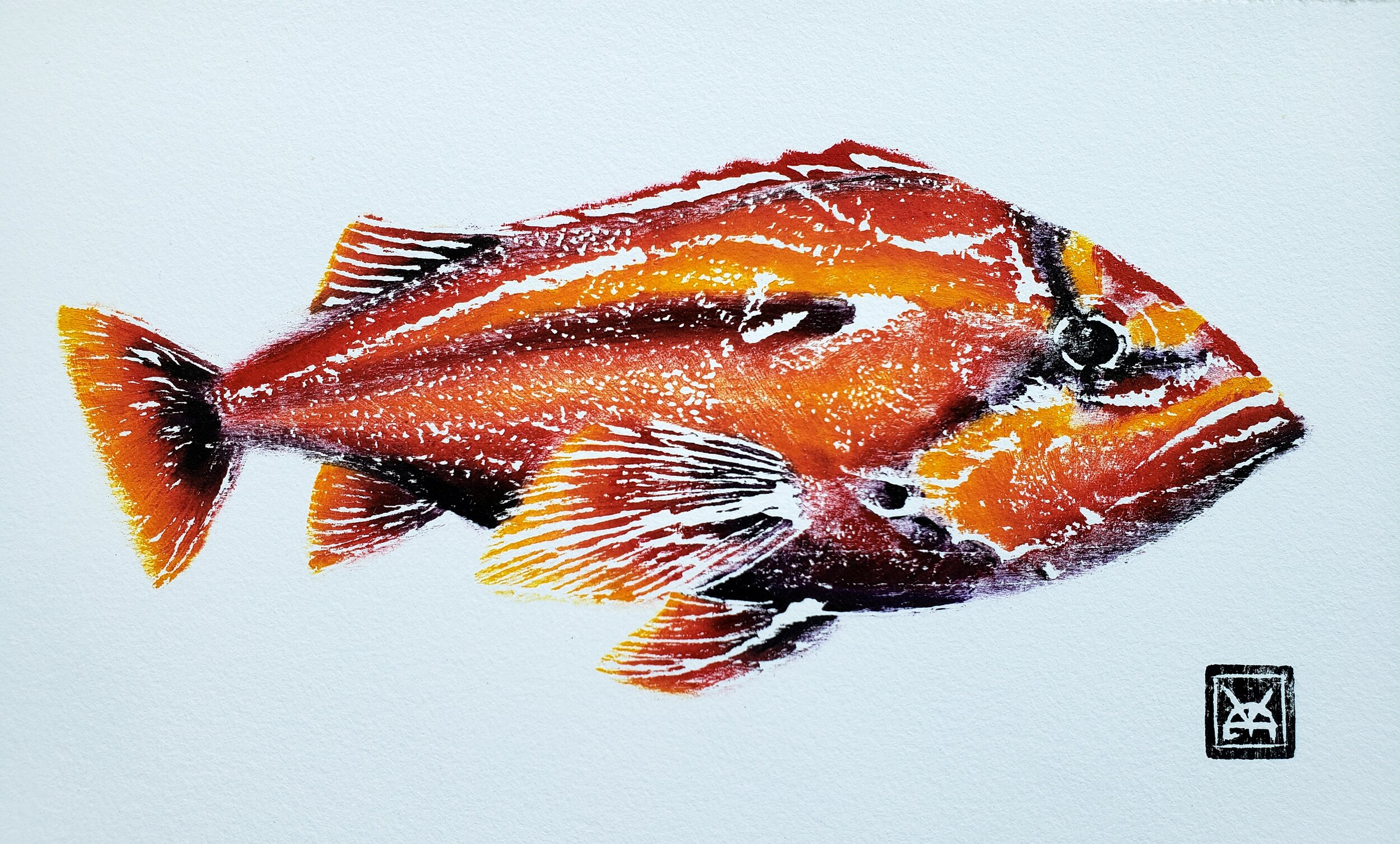 Fresh Rockfish (Red RRF3)