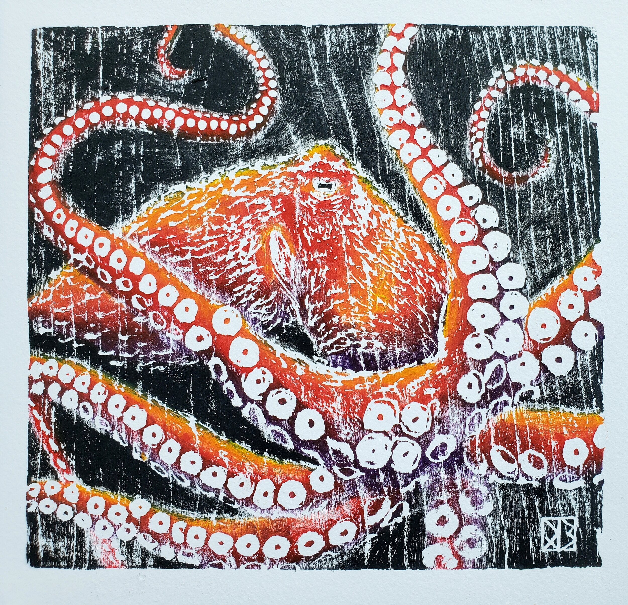 Karen's Red Octopus (RBO1)