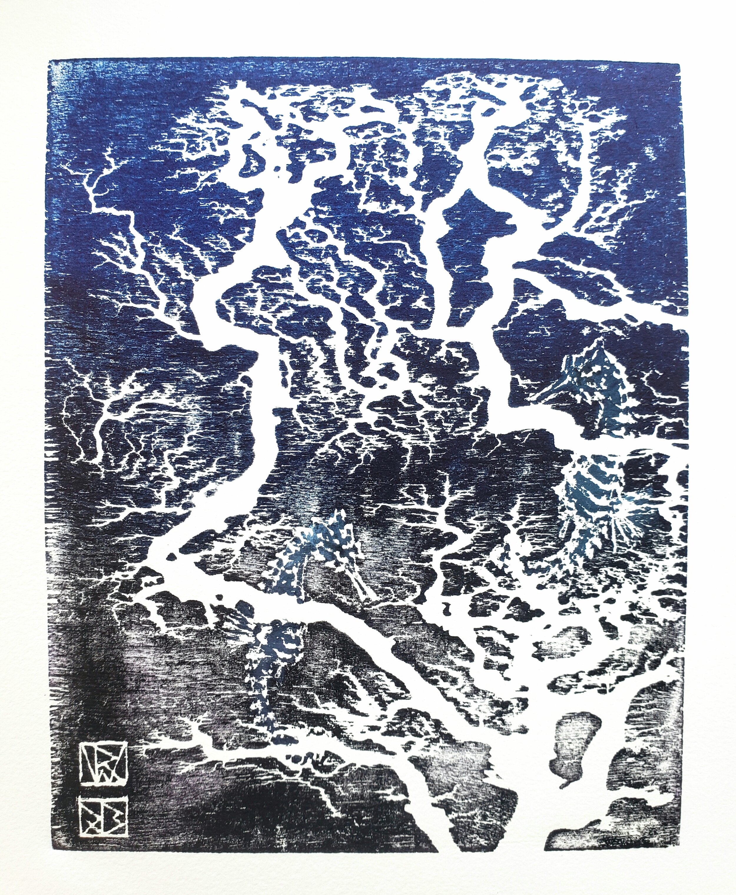 Seahorses in the Coral (SCBB04)