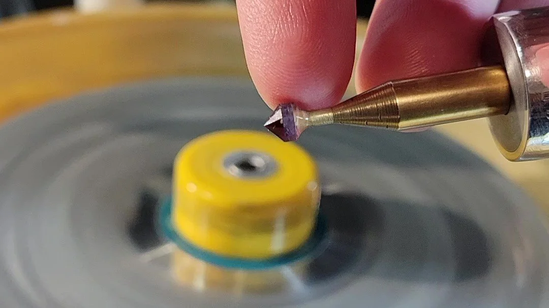 Garneteed to Love it!