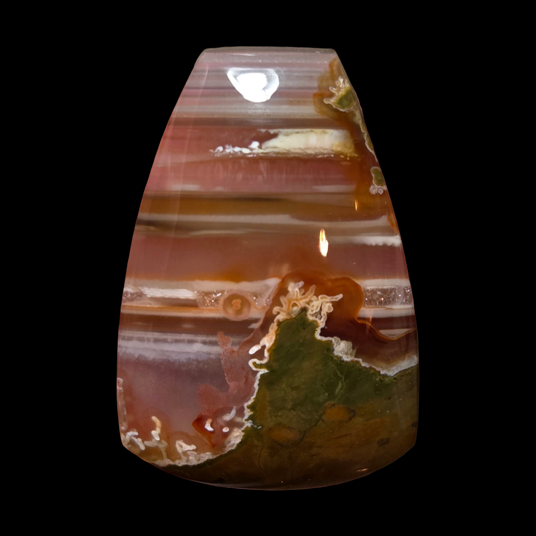 Untitled - 2026-02-13T101937.522.png