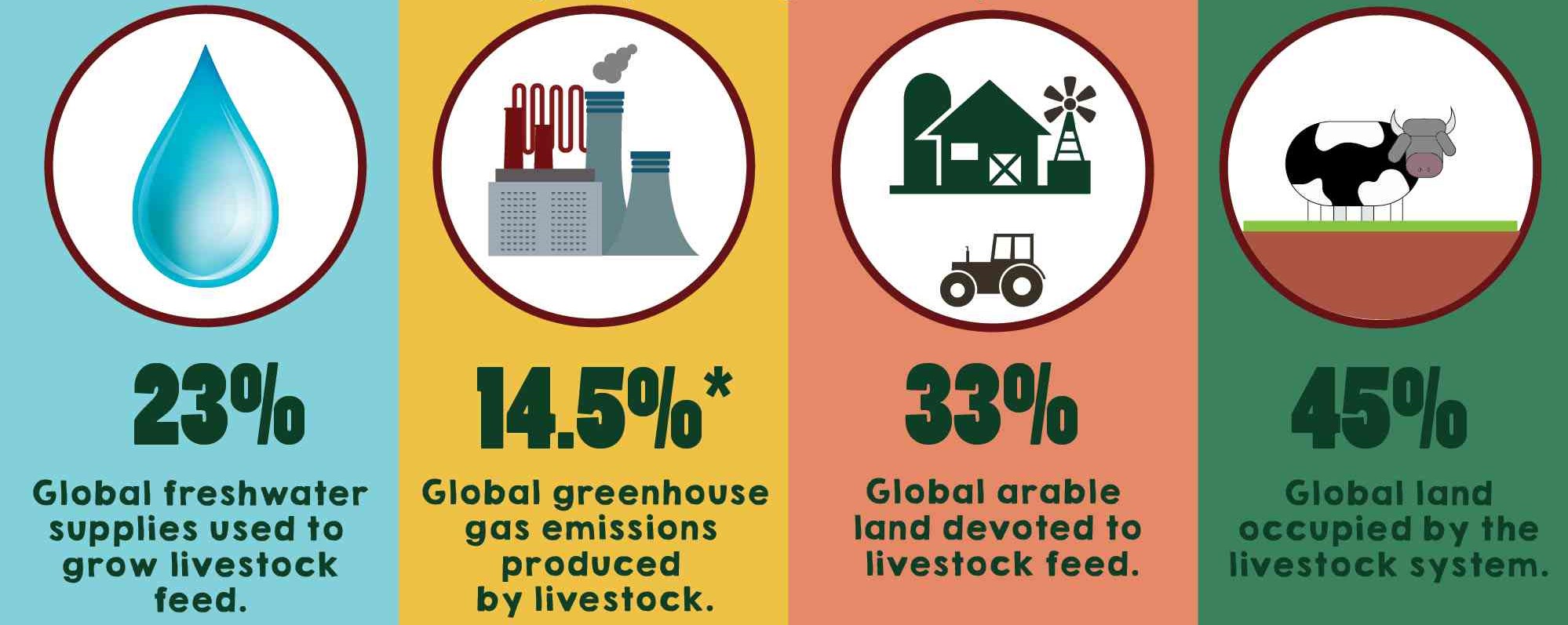 meat production.jpg