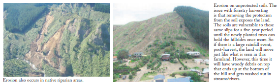 Photos taken in the Tapuaeroa Valley show the effects of erosion from forestry. Credit - Eastland Wood Council.
