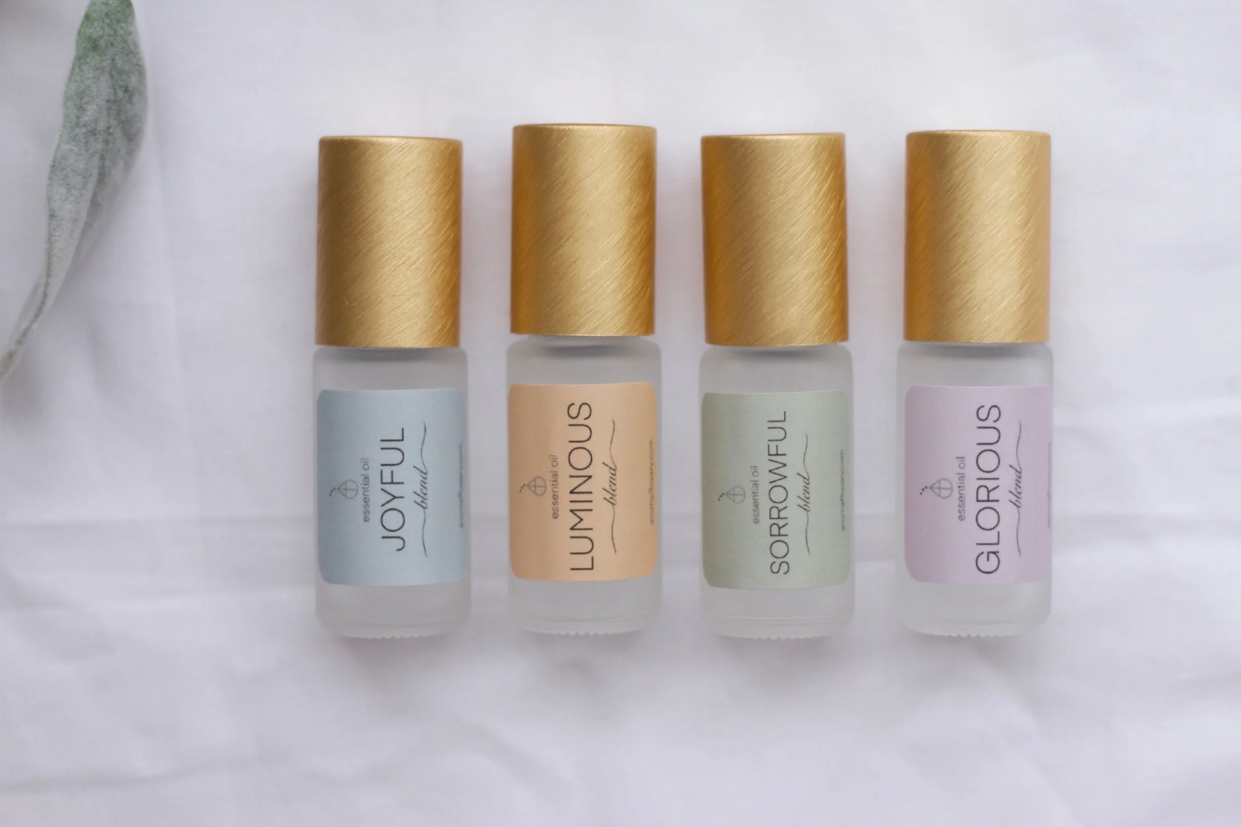 C370D440-0FFC-4606-8313-31E16855299F