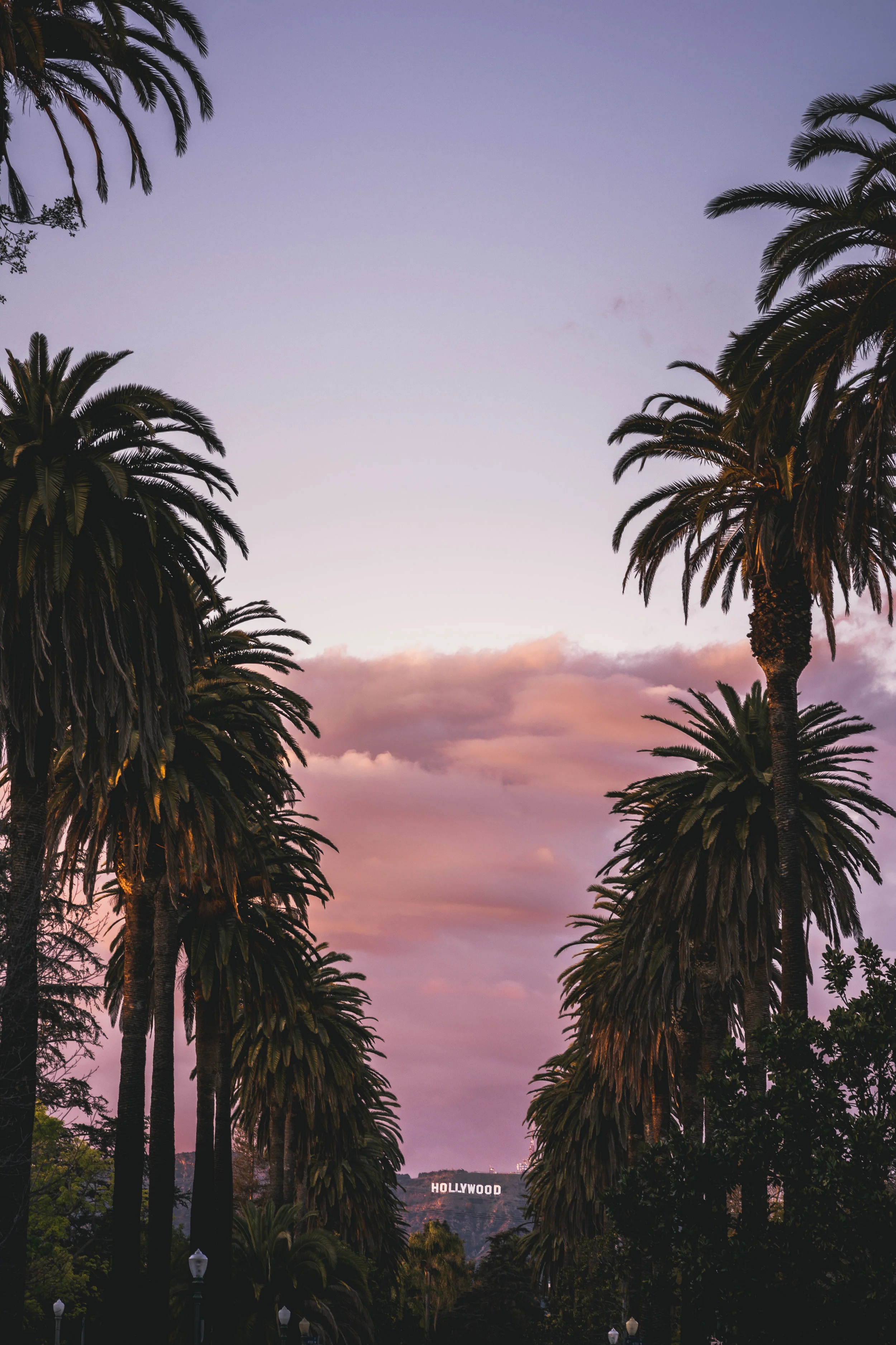 hollywood-5.jpg
