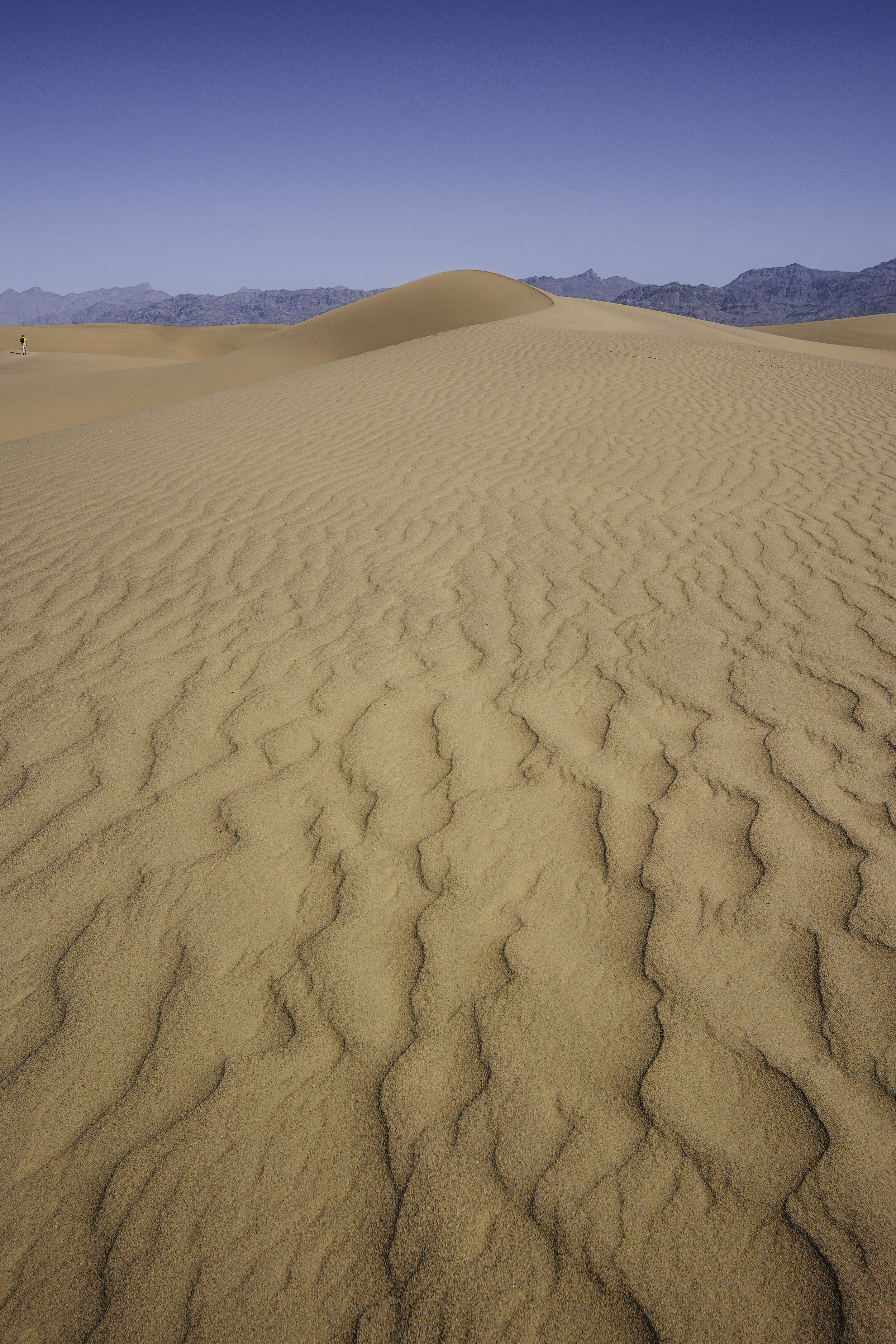 004 Sand dunes.jpg