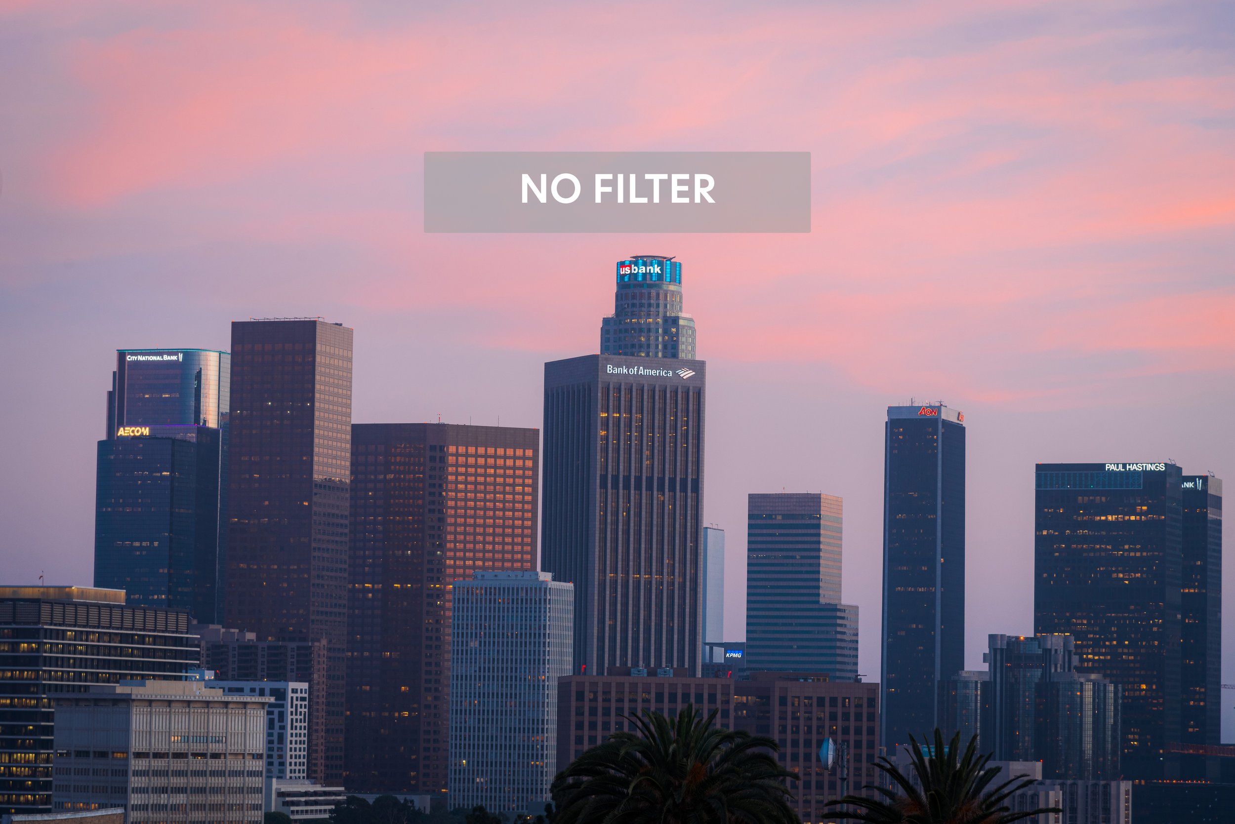 DTLA Sunset BNA copy.jpg