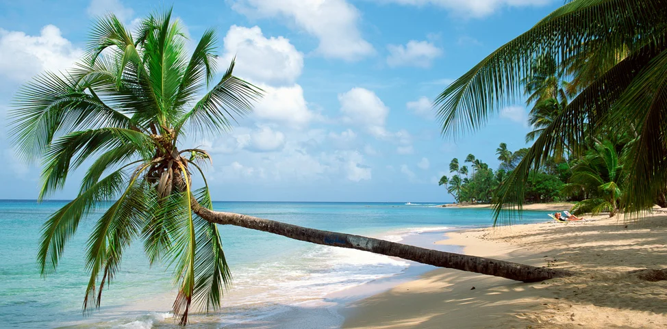   travel incentives  