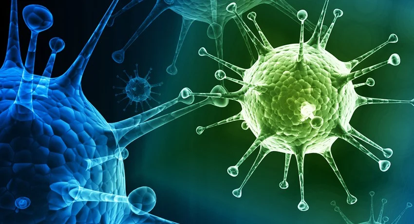 flu-virus-main.jpg