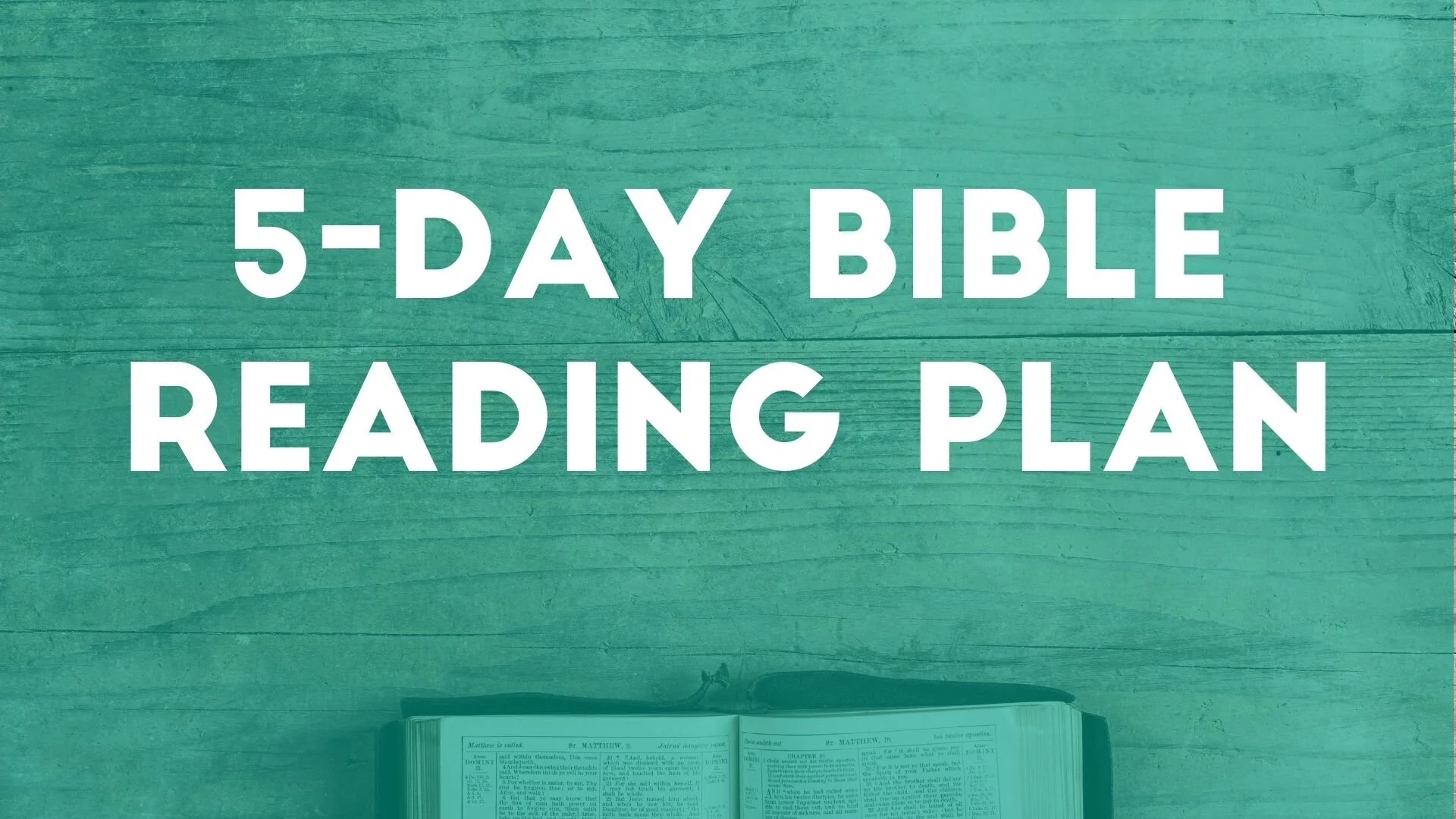 Bible Plans Southfield Christian Fellowship bible-plans-southfield-christian-fellowship