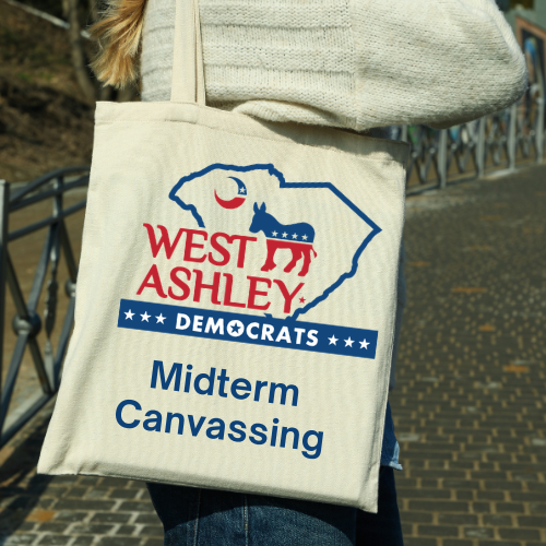 West Ashley Door Knocking