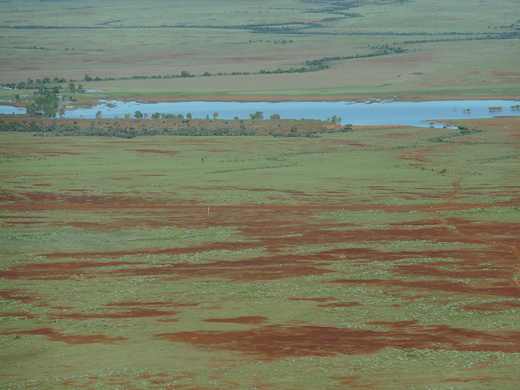 Gibber tableland on Hamilton Station