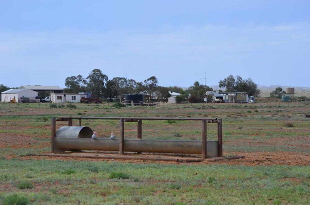 The Peake Station