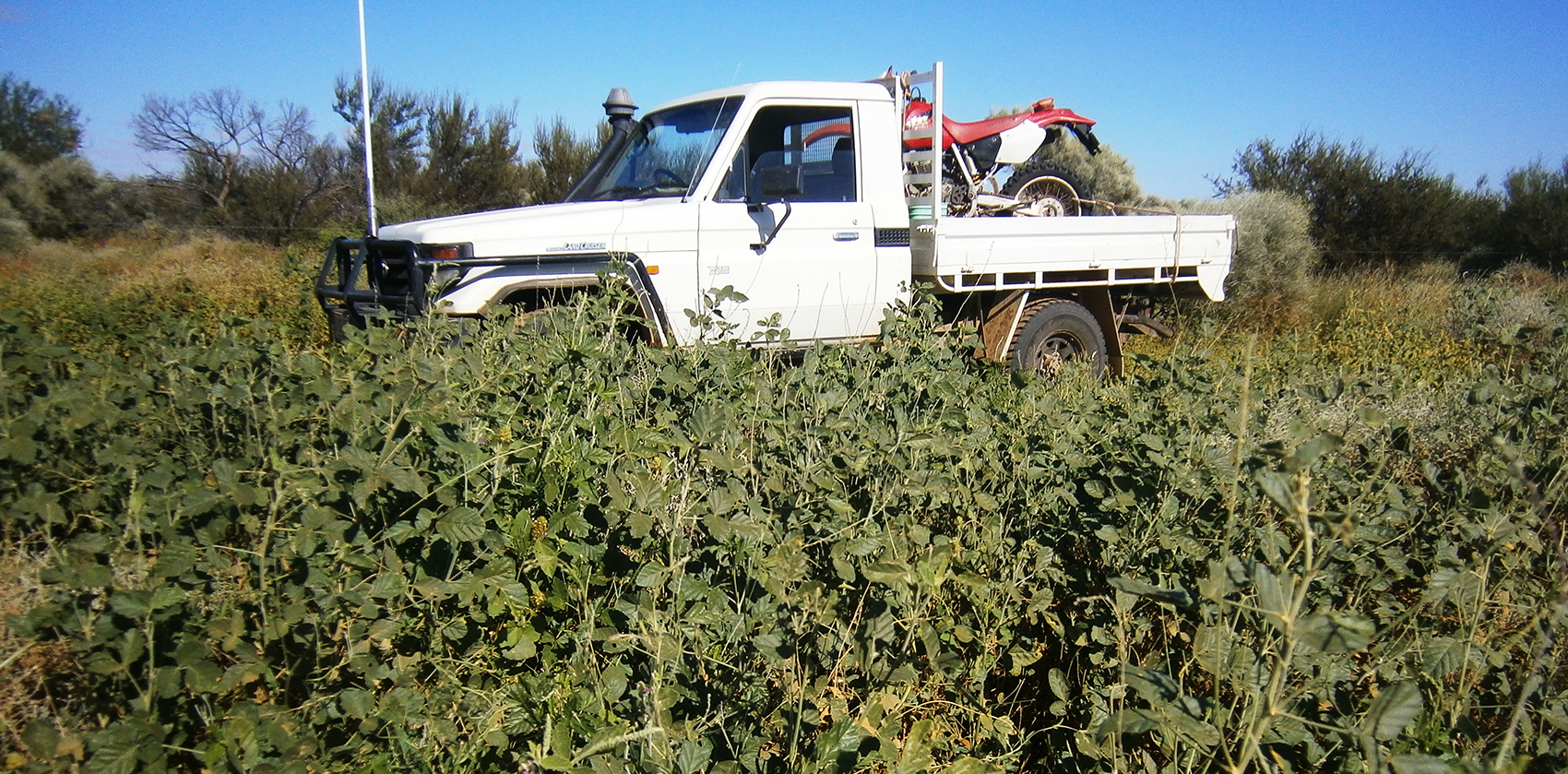 williams-cattle-company-work-with-us-south-australia-australia-cattle-station-job-application.jpg