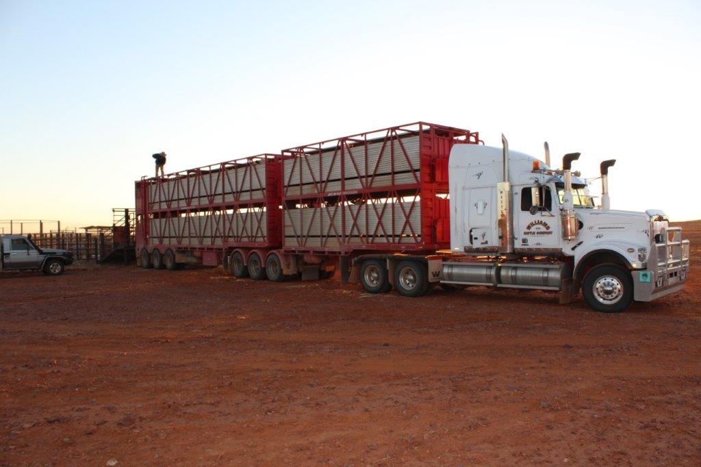 williams-cattle-company-south-australia-cattle-station-sa-plant-and-equipment-trucking-b-double.jpg