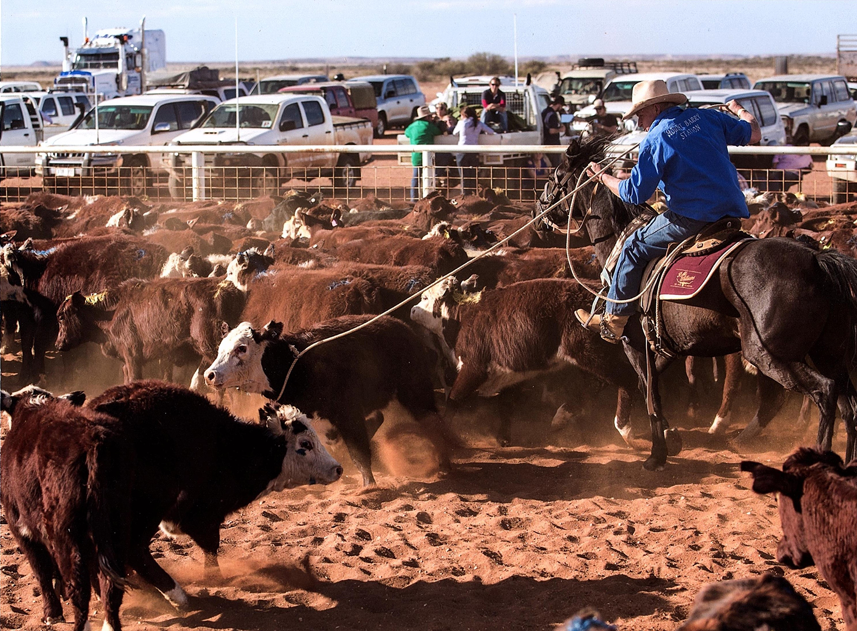 Tony Williams bronco branding: Oodnadatta Bronco Branding