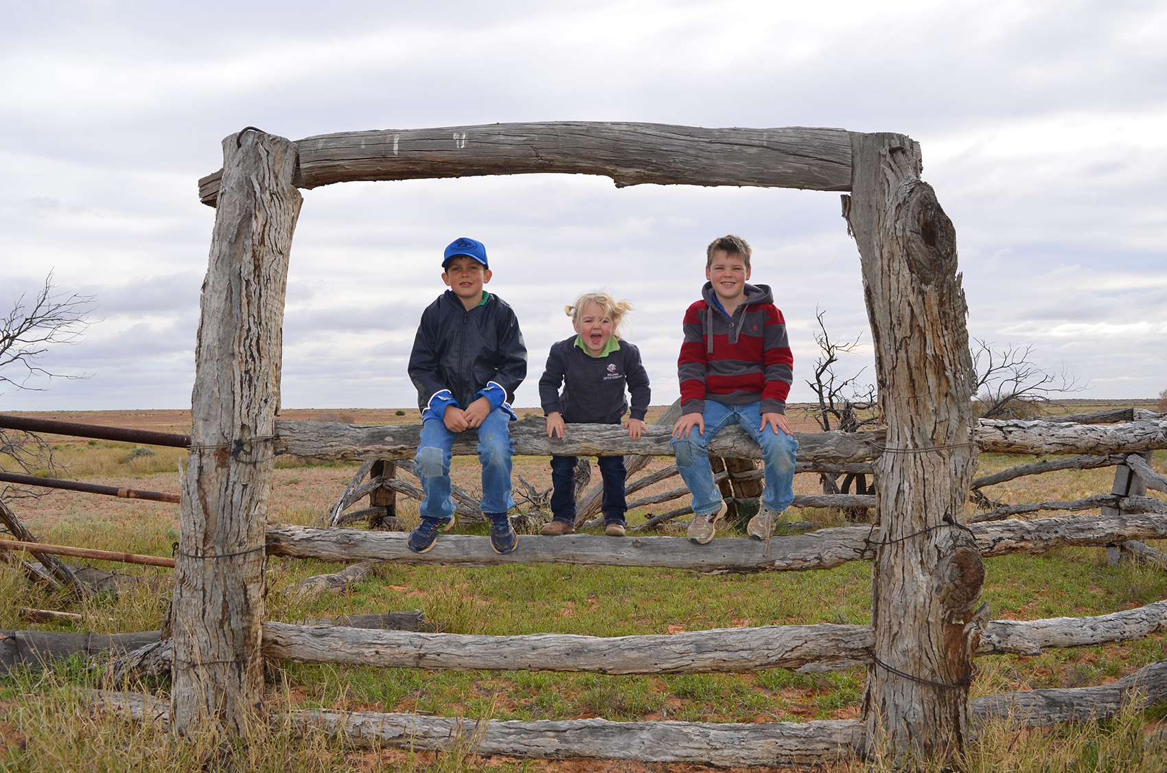 Future ringers: Nilpinna Station