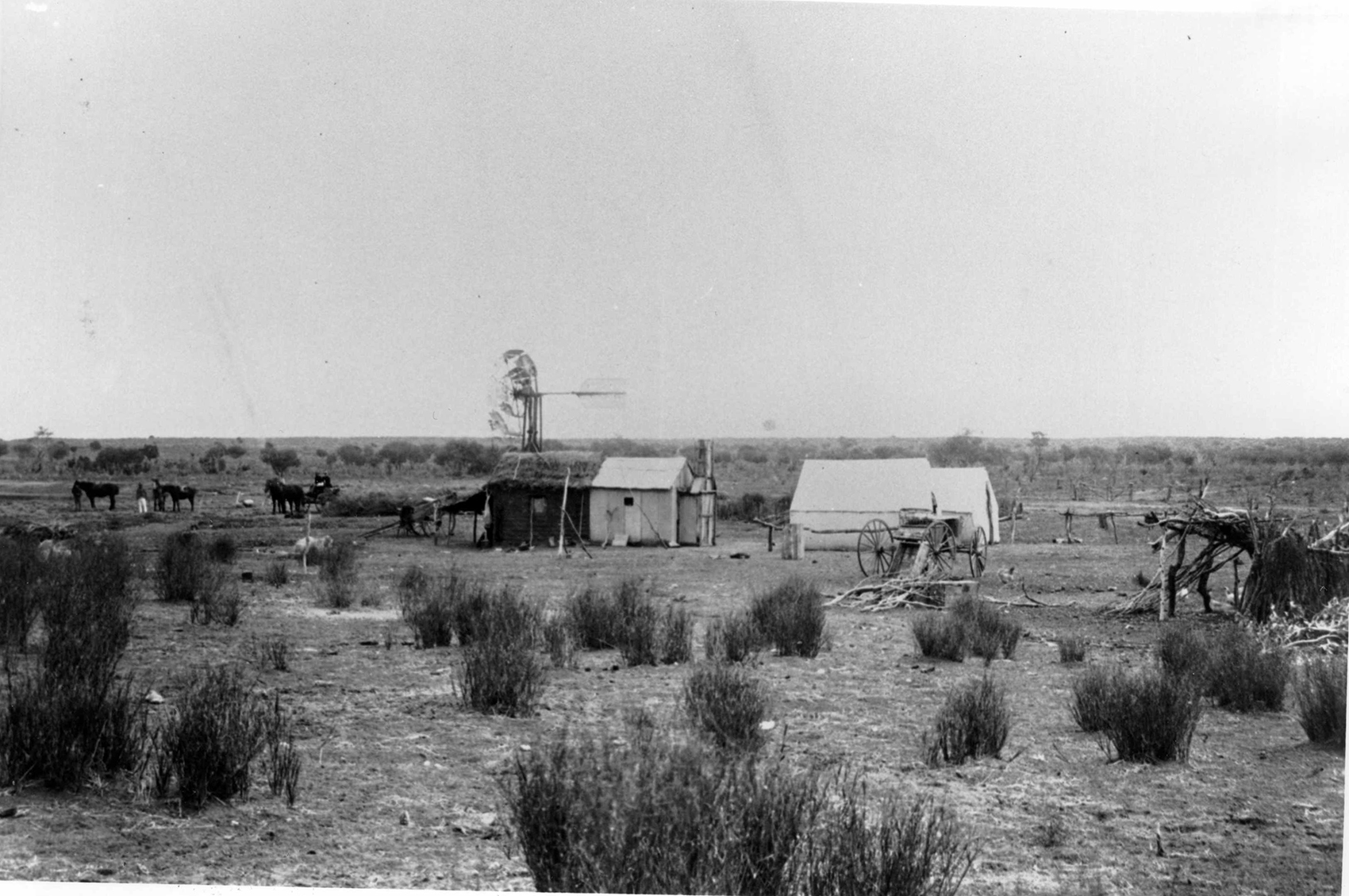Woolshed on Anna Creek Station, late 1800's