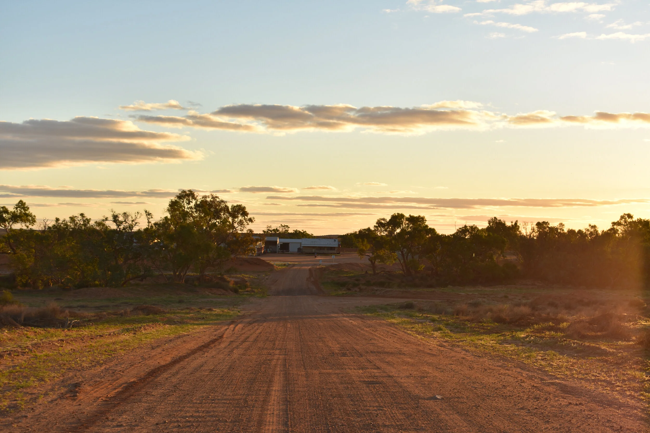 Anna Creek — Williams Cattle Company