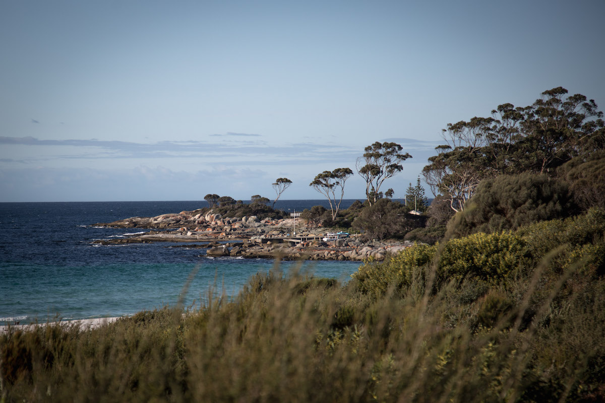Tasmania-Road-Trip-10-of-29.jpg