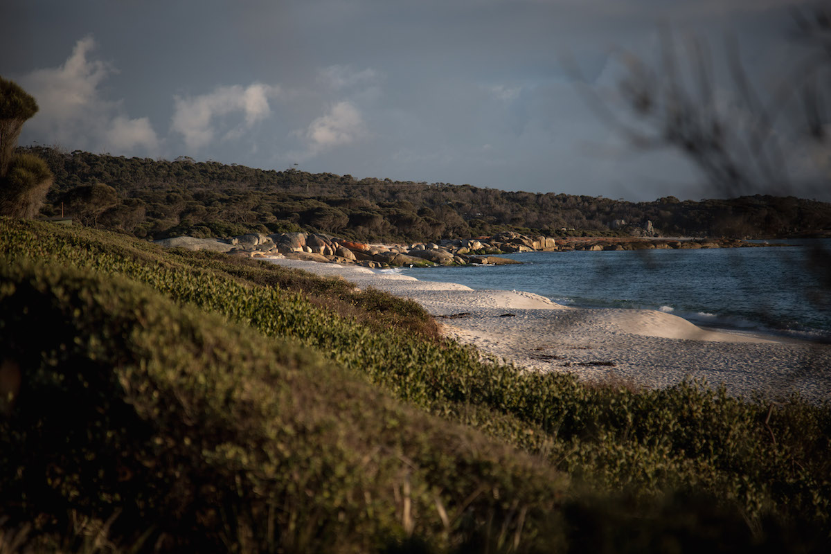 Tasmania-Road-Trip-11-of-29 (1).jpg