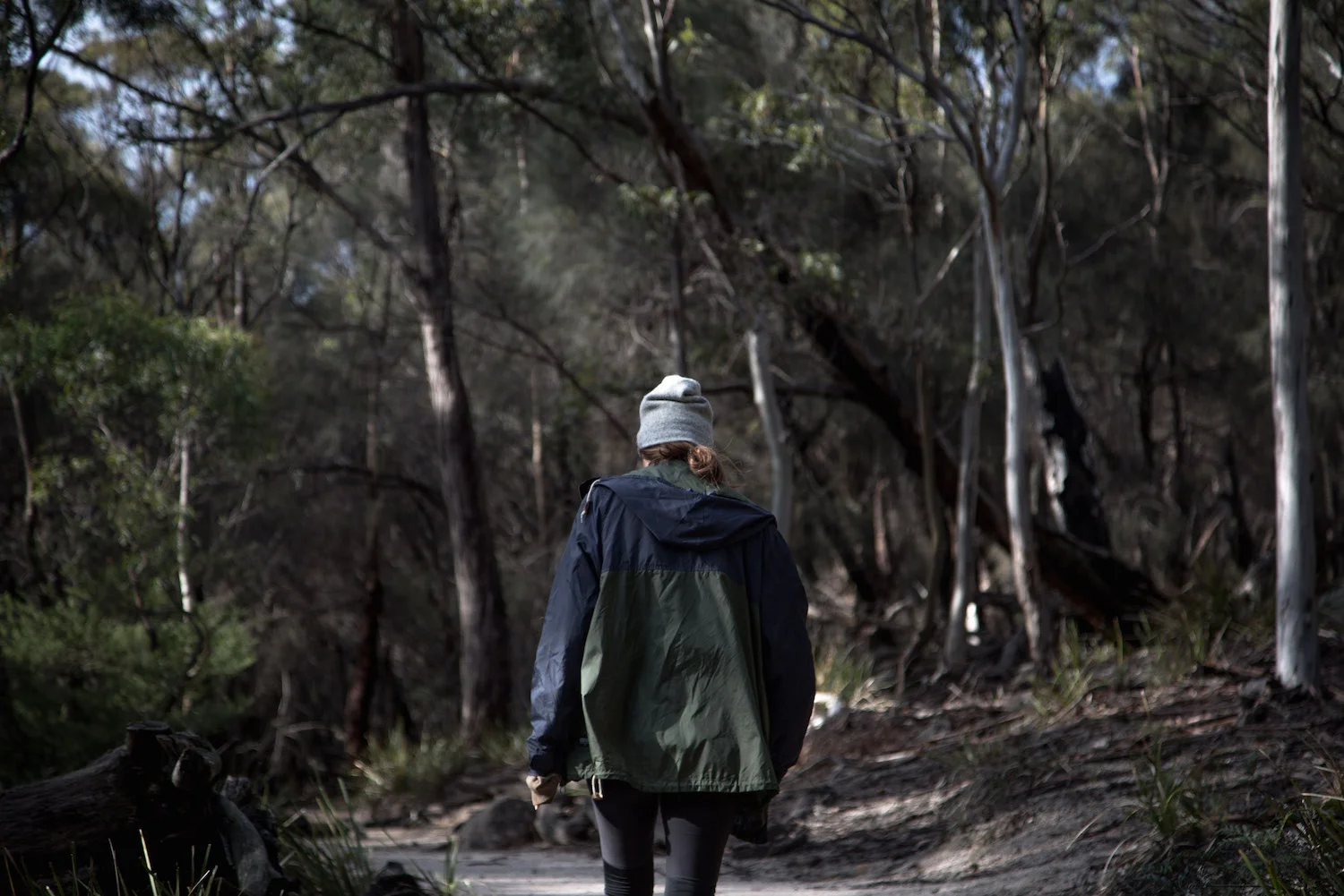 Tasmania-Road-Trip-1-of-29.jpg