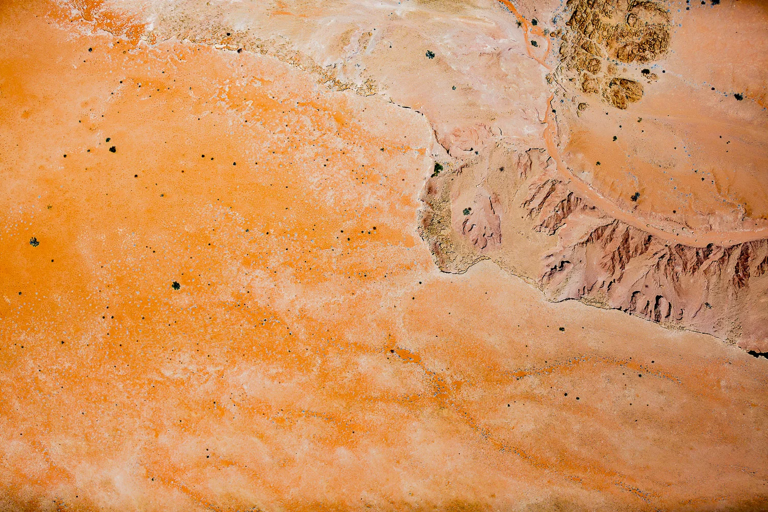 Website Africa (90 of 160).jpg