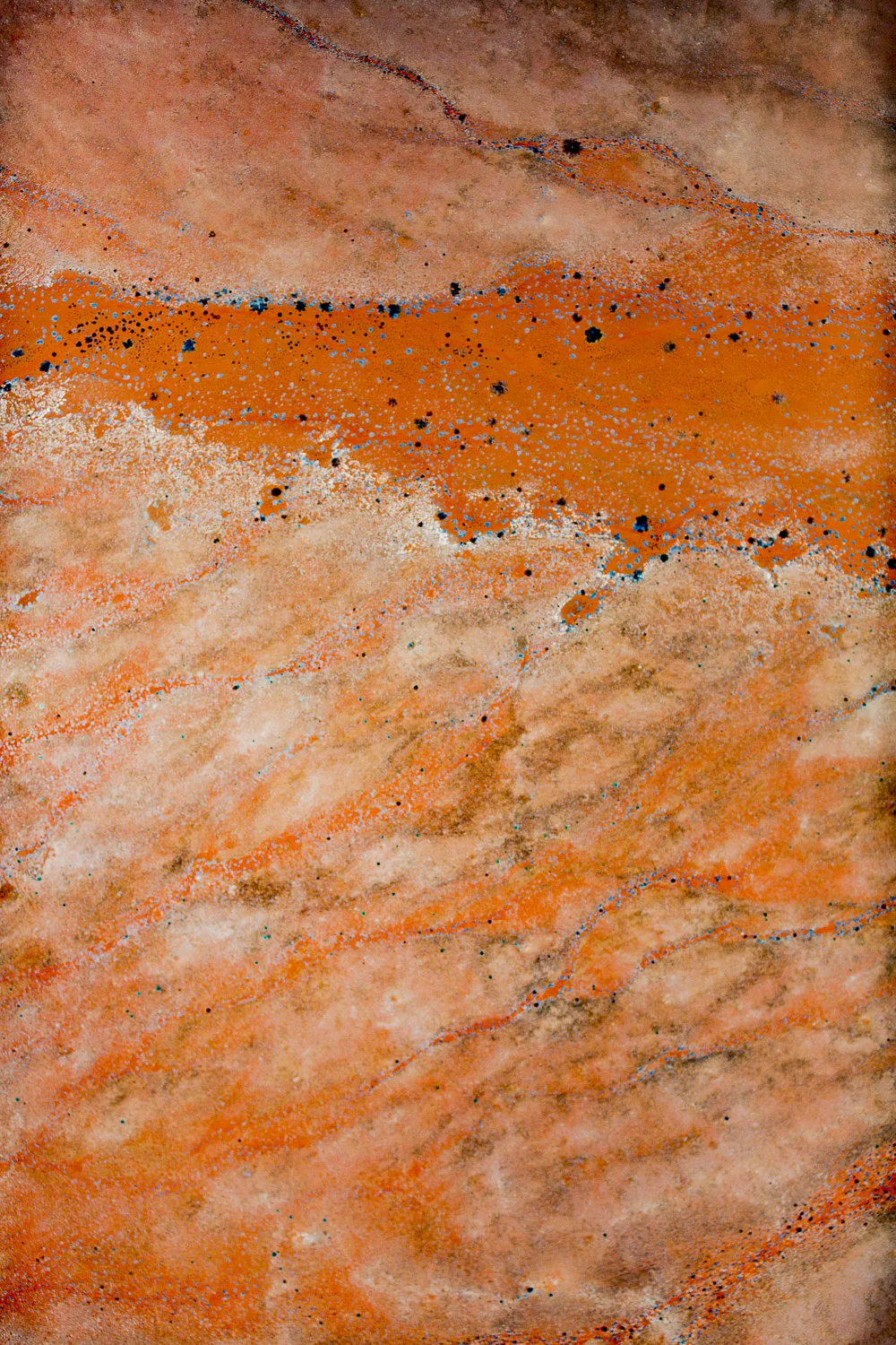 Website Africa (89 of 160).jpg