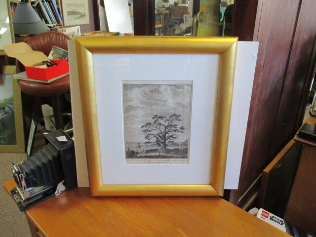 MAORI 19TH CENTURY ENGRAVING