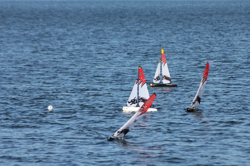 steering-radio-sailboats-during-a-regatta.jpg
