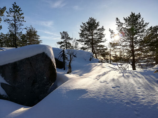 winter-trailrunning-skuleberget-elk-path-exploring-snow.jpg