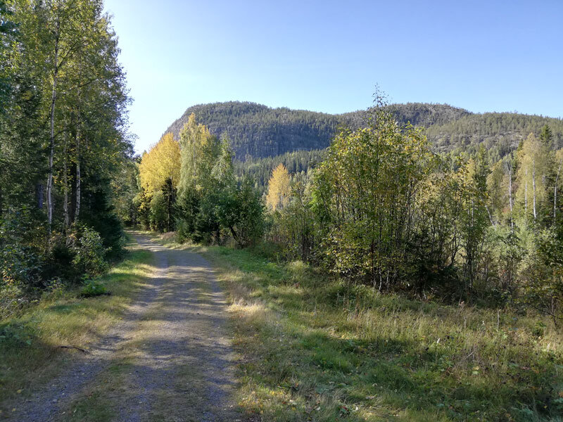 reaching-skuleberget-hiking-the-hoga-kusten-leden-docksta-best-spot.jpg