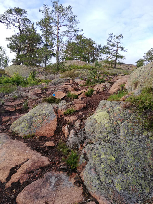 trailrunning-skuleberget-paths-on-rocks-and-stones.jpg
