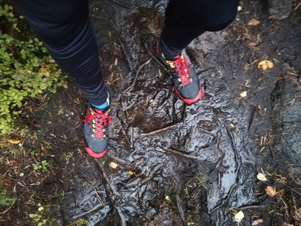 mud-and-roots-trailrunning-skuleberget-hoga-kusten-high-coast-runner-tips.jpg