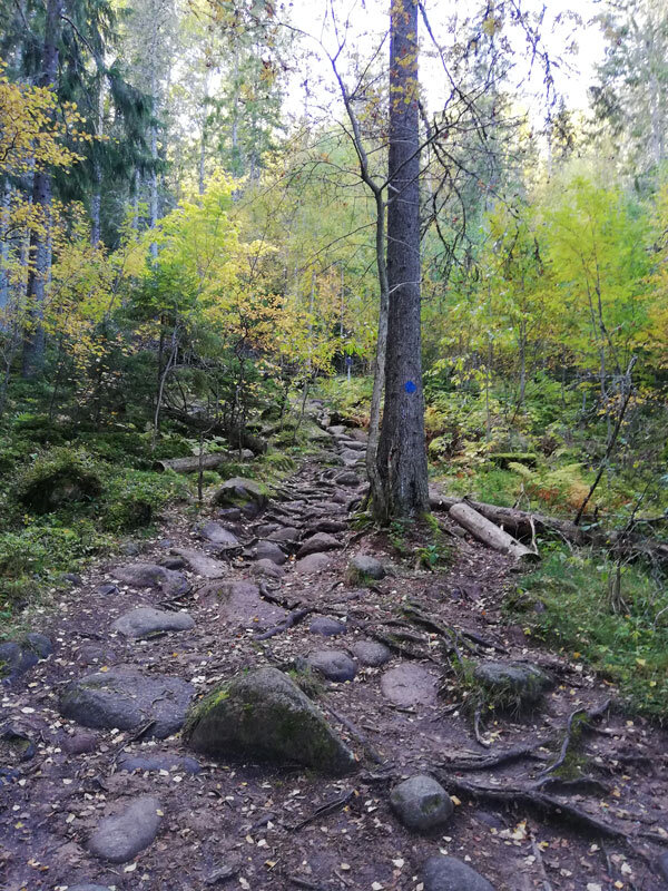 eagle-path-from-naturum-skuleberget-big5-uphill-trail-lopning.jpg