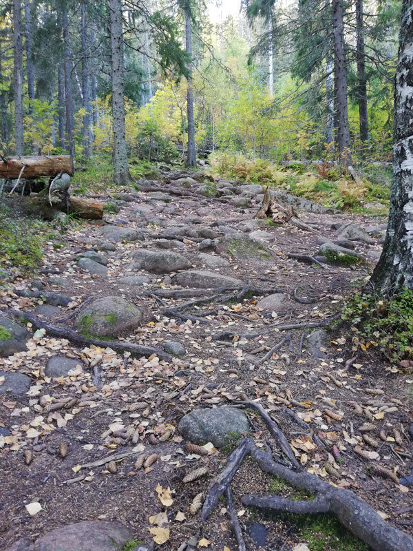 big5-uphill-path-eagle-skuleberget-hoga-kusten-trail-running.jpg