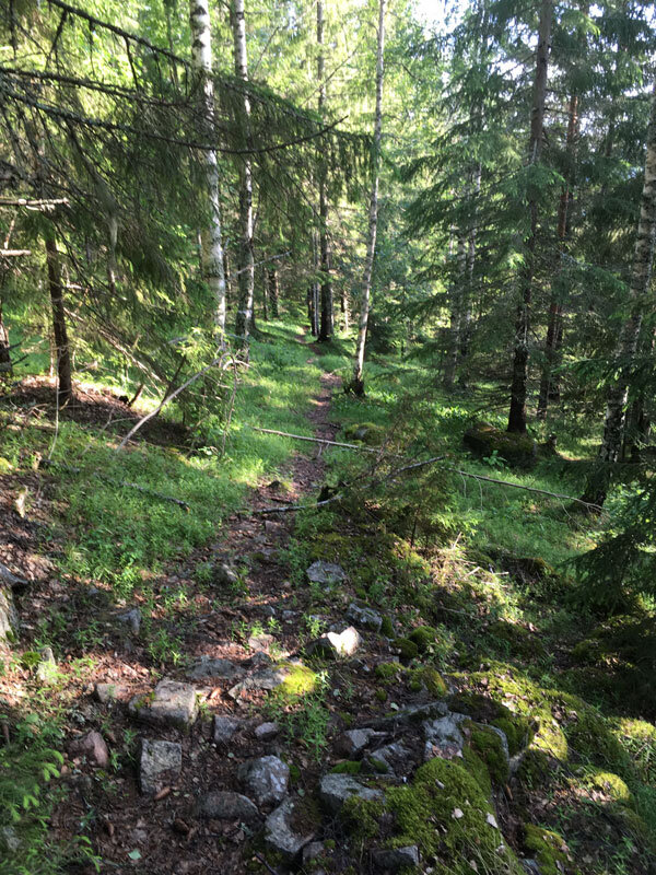 wild-path-skuleberget-hoga-kusten-trailrunning-elk-uphills-docksta.jpg