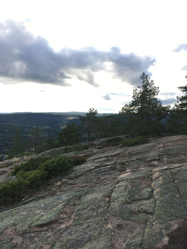 rocks-path-skuleberget-yellow-elk-segment-hoga-kusten-trail-running.jpg