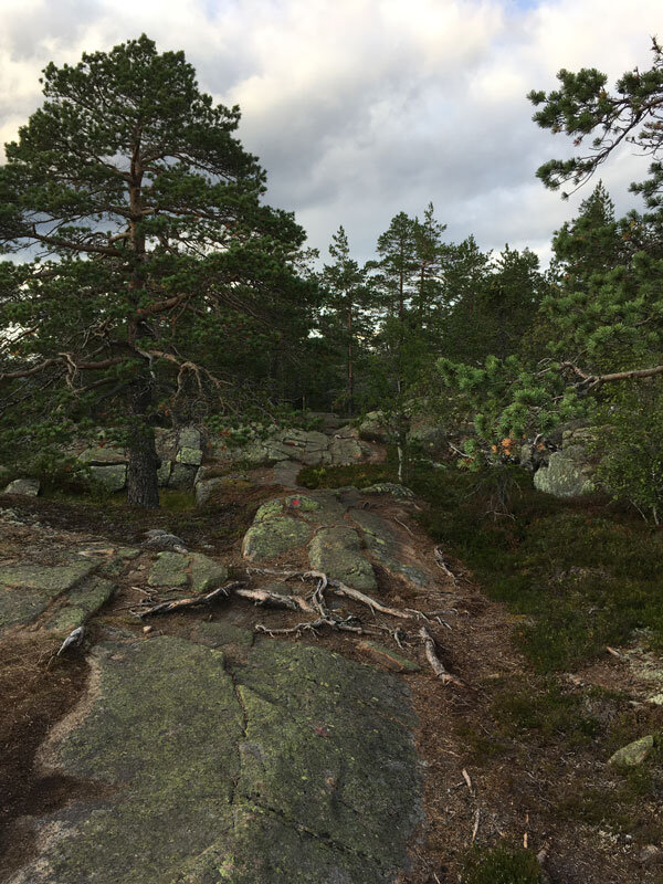 rocks-path-skuleberget-big5-elk-segment-hoga-kusten-traillopning.jpg